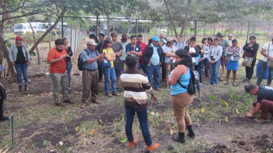 Avanzando na soberanía alimentaria en Nicaragua. 